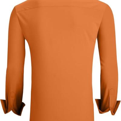 Mens Dress Shirts Regular Fit Long Sleeve Stretch Business Dress Shirts for Men