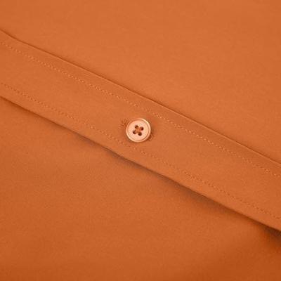 Mens Dress Shirts Regular Fit Long Sleeve Stretch Business Dress Shirts for Men